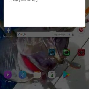 Meet your Posher, Wanda